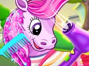 Ponys Pet Salon Online Hypercasual Games on NaptechGames.com