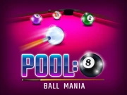 Pool: 8 Ball Mania Online Sports Games on NaptechGames.com