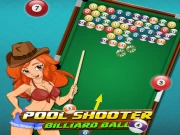 Pool Shooter : Billiard Ball Online Hypercasual Games on NaptechGames.com