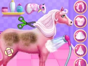 Princess Horse Caring Online Girls Games on NaptechGames.com