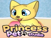 Princess Pet Studio Online Casual Games on NaptechGames.com