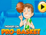 Pro Basket Online sports Games on NaptechGames.com