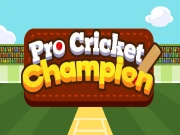 Pro Cricket Champion Online sports Games on NaptechGames.com