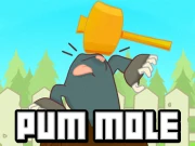 Pum Mole Whack a Mole Online Hypercasual Games on NaptechGames.com