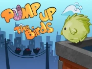 Pump up the birds Online Puzzle Games on NaptechGames.com