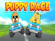 Puppy Race Online Racing Games on NaptechGames.com