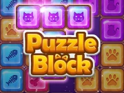 Puzzle Block Online Puzzle Games on NaptechGames.com
