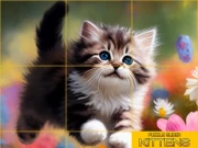 Puzzle Sliding Kittens Online Puzzle Games on NaptechGames.com
