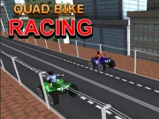 Quad Bike Racing Online Racing Games on NaptechGames.com