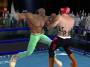 Real Boxing Fighting Game Online Puzzle Games on NaptechGames.com