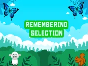 Remembering Selection Online puzzles Games on NaptechGames.com
