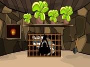 Rescue The Raccoon Online Puzzle Games on NaptechGames.com