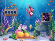 Rescue the Whale Online Puzzle Games on NaptechGames.com