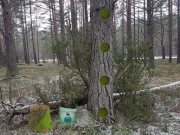 Return To The Frozen Forest Online Puzzle Games on NaptechGames.com