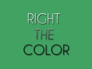 Right the Color Online Puzzle Games on NaptechGames.com