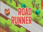 Road Runner Online adventure Games on NaptechGames.com