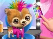 Rock Star Animal Hair Salon Online Girls Games on NaptechGames.com