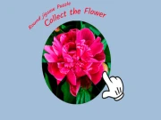 Round jigsaw Puzzle - Collect the Flower Online puzzles Games on NaptechGames.com