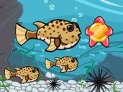 Run Fish Run Online Arcade Games on NaptechGames.com
