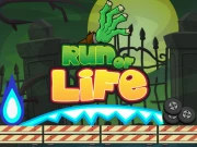 Run of Life Game Online Arcade Games on NaptechGames.com