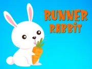 Runner Rabbit Online Hypercasual Games on NaptechGames.com