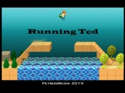 Running Ted Online Agility Games on NaptechGames.com