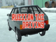 Russian Taz Driving Online arcade Games on NaptechGames.com