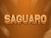 Saguaro Online arcade Games on NaptechGames.com