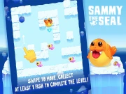 Sammy The Seal Online Casual Games on NaptechGames.com