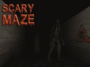 Scary Maze Online adventure Games on NaptechGames.com