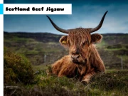 Scotland Beef Jigsaw Online Puzzle Games on NaptechGames.com