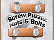 Screw Puzzle - Nuts and Bolts Online puzzles Games on NaptechGames.com