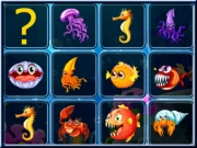 Sea Creatures Cards Match Online Puzzle Games on NaptechGames.com