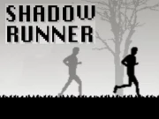 Shadow Runner Online Action Games on NaptechGames.com