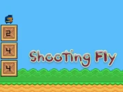 Shooting Fly Online Puzzle Games on NaptechGames.com