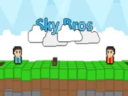 Sky Bros - 2 Players Online arcade Games on NaptechGames.com