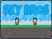 Sky Bros Online Action Games on NaptechGames.com