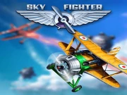 Sky Fighter Online Shooting Games on NaptechGames.com