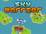 Sky Warrior Online Arcade Games on NaptechGames.com