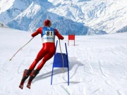 Slalom Ski Simulator Online Simulation Games on NaptechGames.com