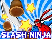 Slash Ninja Online Hypercasual Games on NaptechGames.com