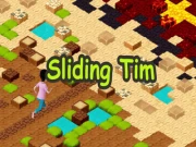 Sliding Tim: Way to home Online Hypercasual Games on NaptechGames.com