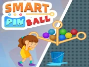 Smart Pin Ball Online Puzzle Games on NaptechGames.com
