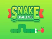 Snake Challenge Online Casual Games on NaptechGames.com