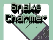 Snake Charmer Online .IO Games on NaptechGames.com
