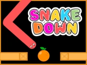Snake Down Online Hypercasual Games on NaptechGames.com