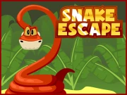 Snake Escape Online Puzzle Games on NaptechGames.com