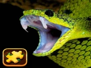 Snake Puzzle Challenge Online Puzzle Games on NaptechGames.com