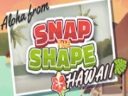 Snap the Shape: Hawaii Online Casual Games on NaptechGames.com