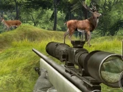 Sniper Hunting Deadly Animal Online Shooting Games on NaptechGames.com